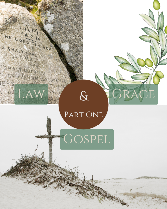 Law, Grace, and the Gospel